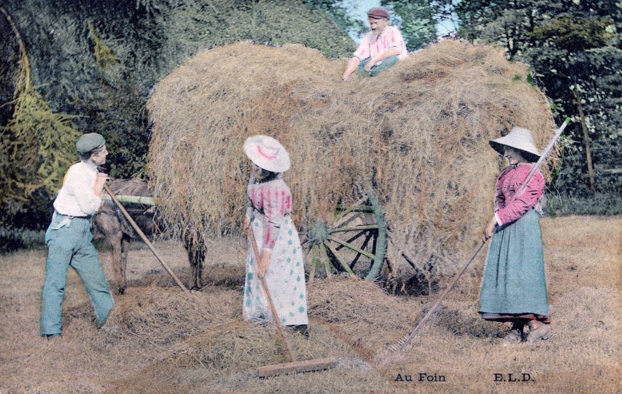 Med Hay, c1900 av Unbekannt