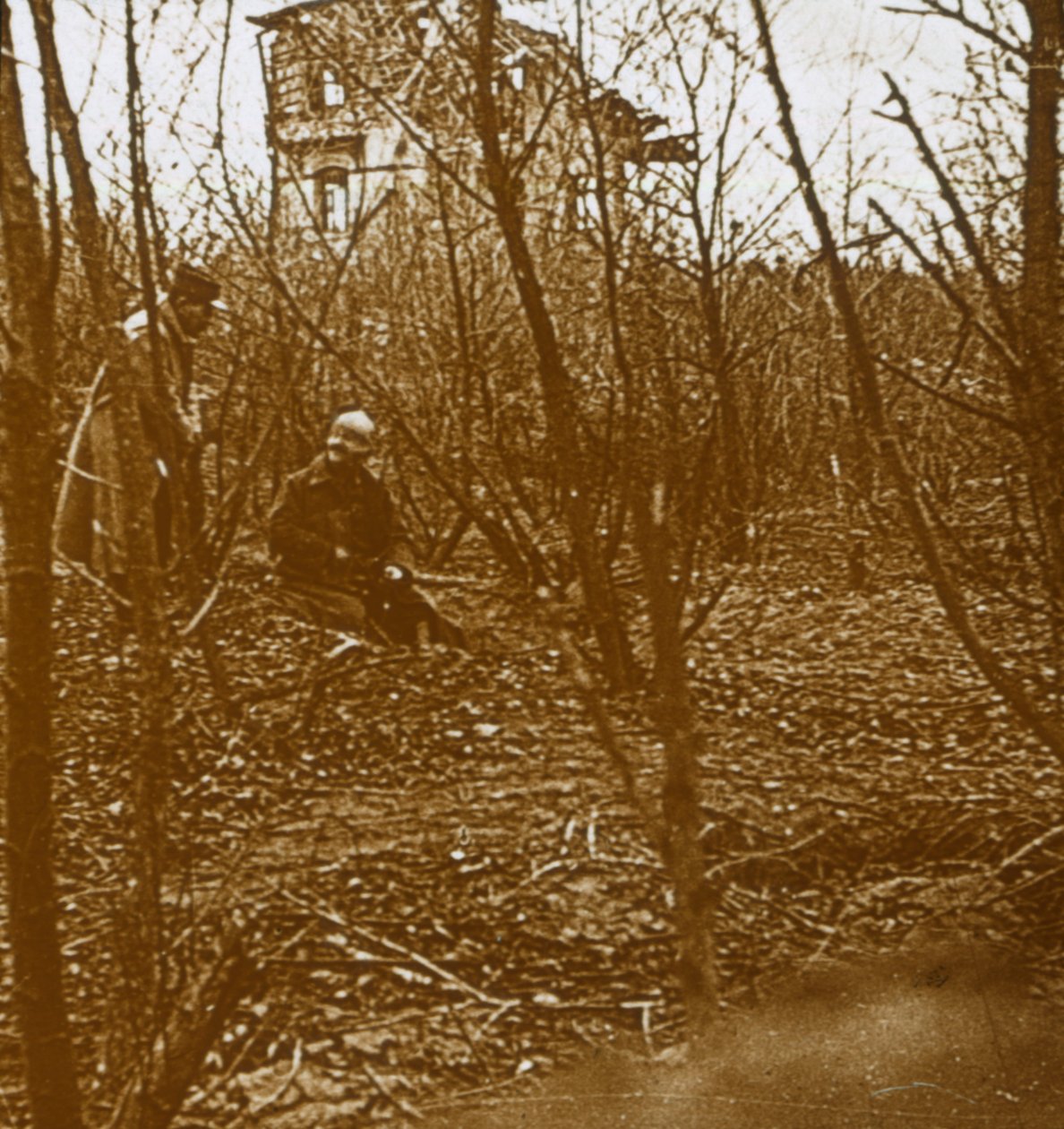 Trä, c1914-c1918 av Unbekannt