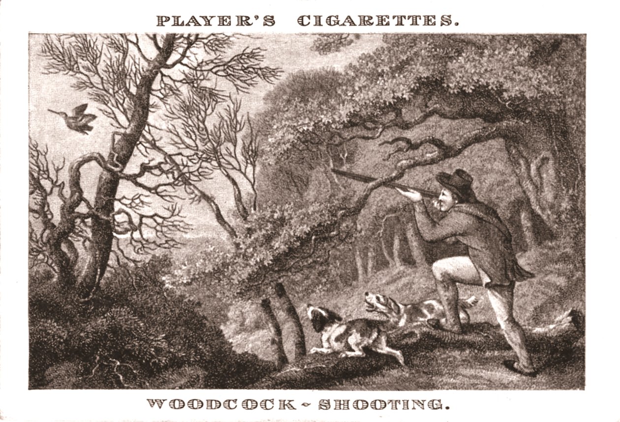 Woodcock-Shooting, 1924. av Unbekannt
