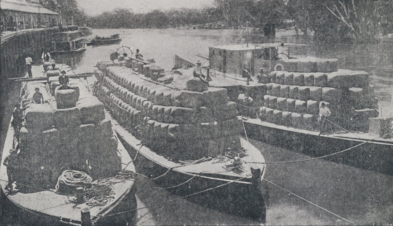 Ullpråmar på Murray River, 1923. av Unbekannt