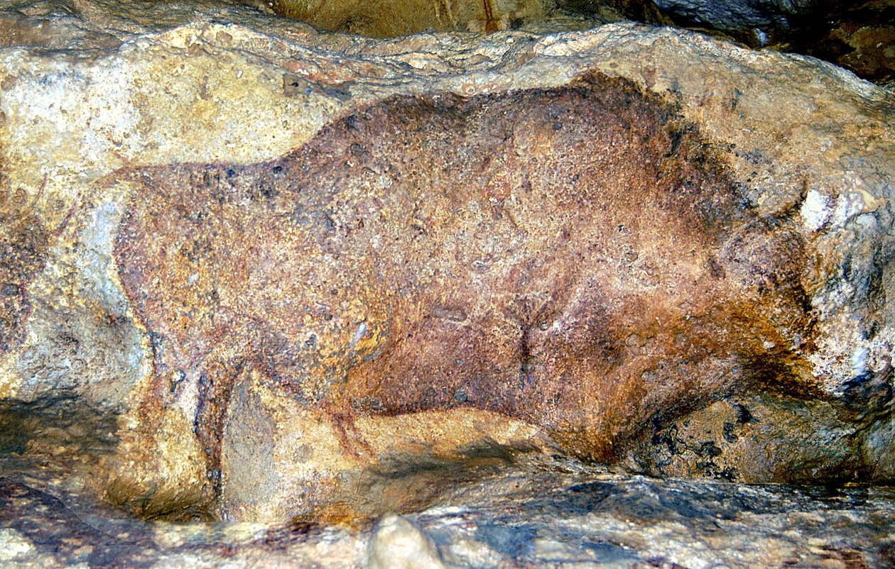 Bison i Font De Gaume, c.25 000 f.Kr. av Unbekannt Unbekannt