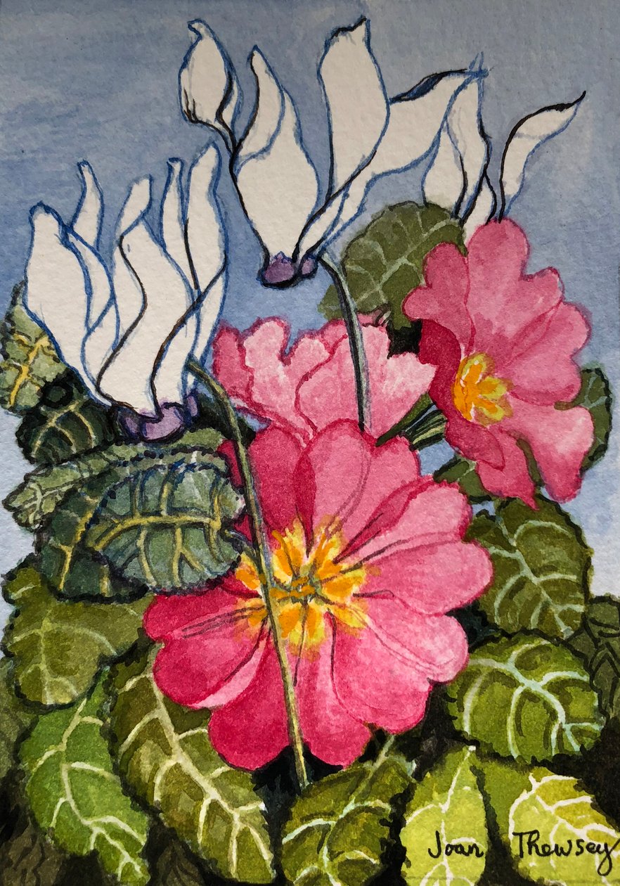 Cyclamen och Primrose, av Unbekannt Unbekannt