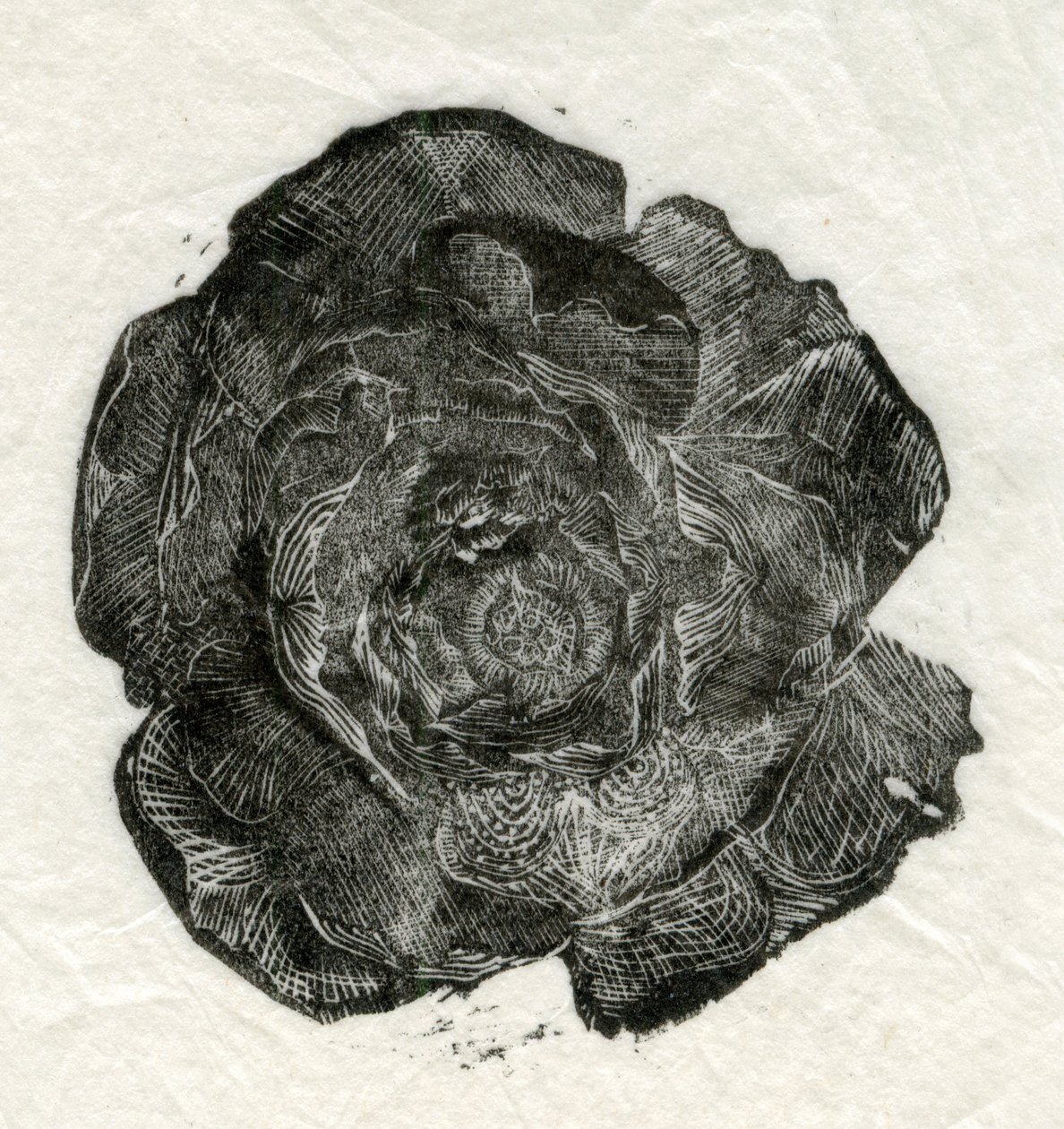 Pine Rose, 2014, av Unbekannt Unbekannt