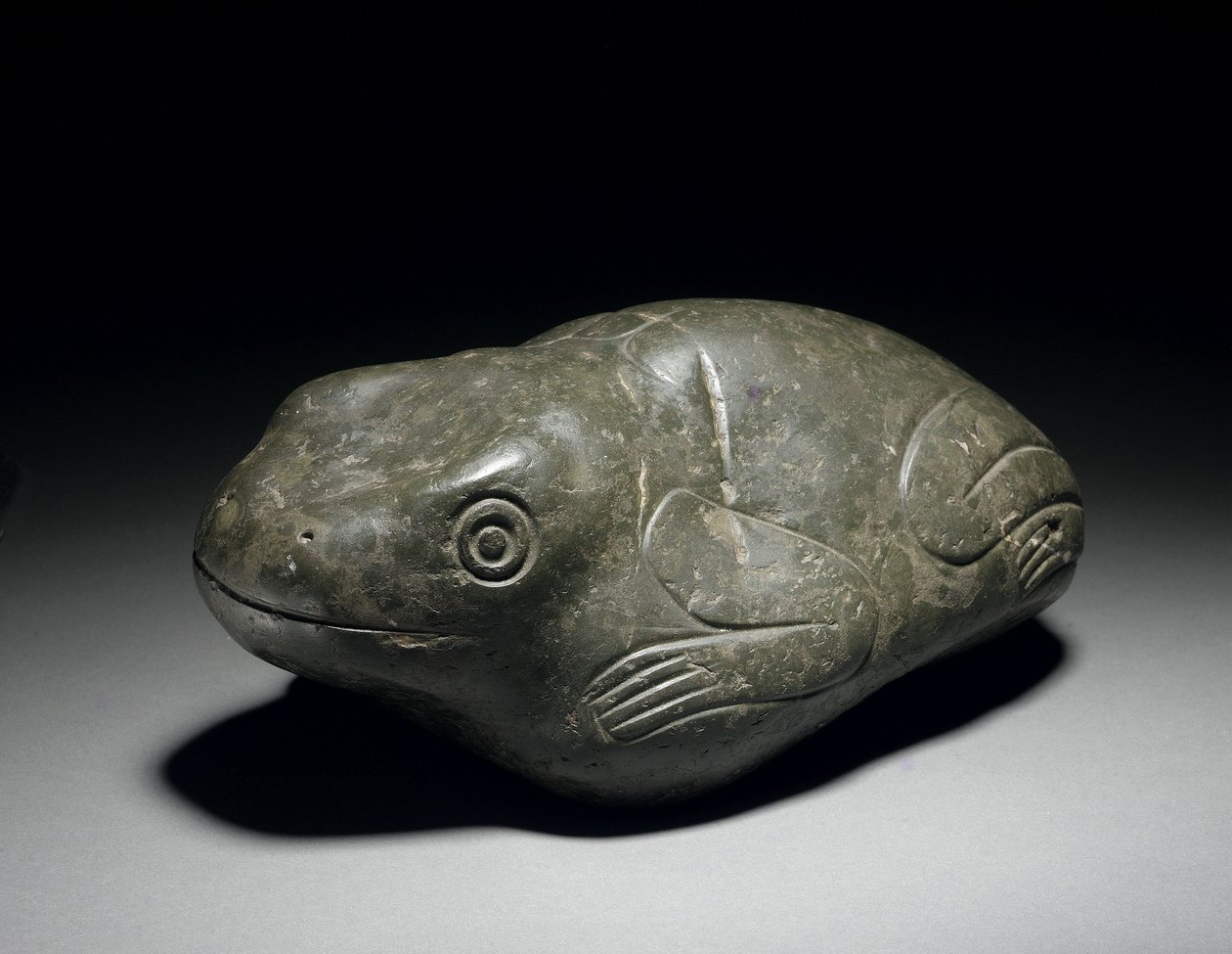 En sällsynt aztekisk stengroda, ca 1200-1521 av Unbekannt