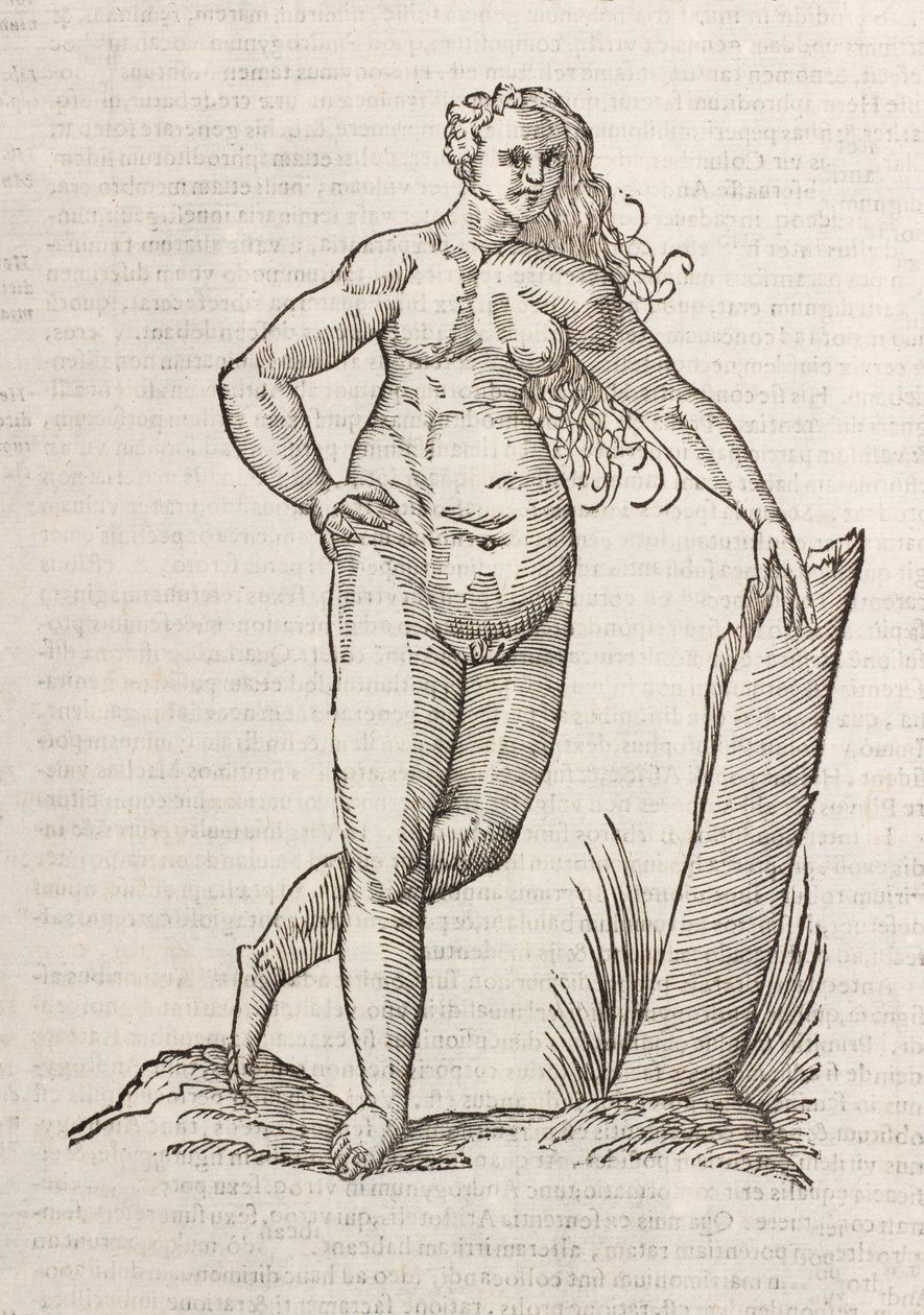 Androgynos av Unbekannt