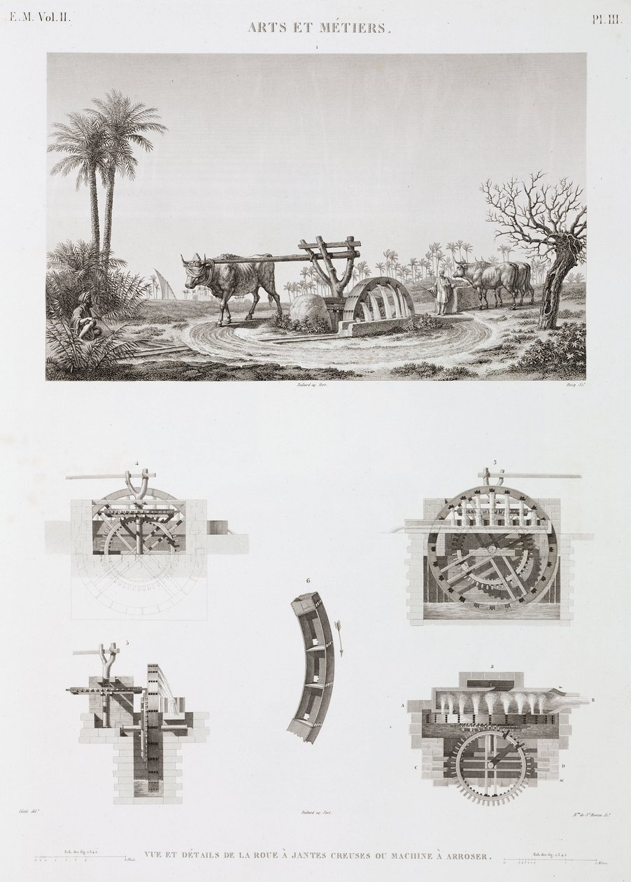 Animal Power Djurdriven bevattning, Egypten, ca 1798 av Unbekannt
