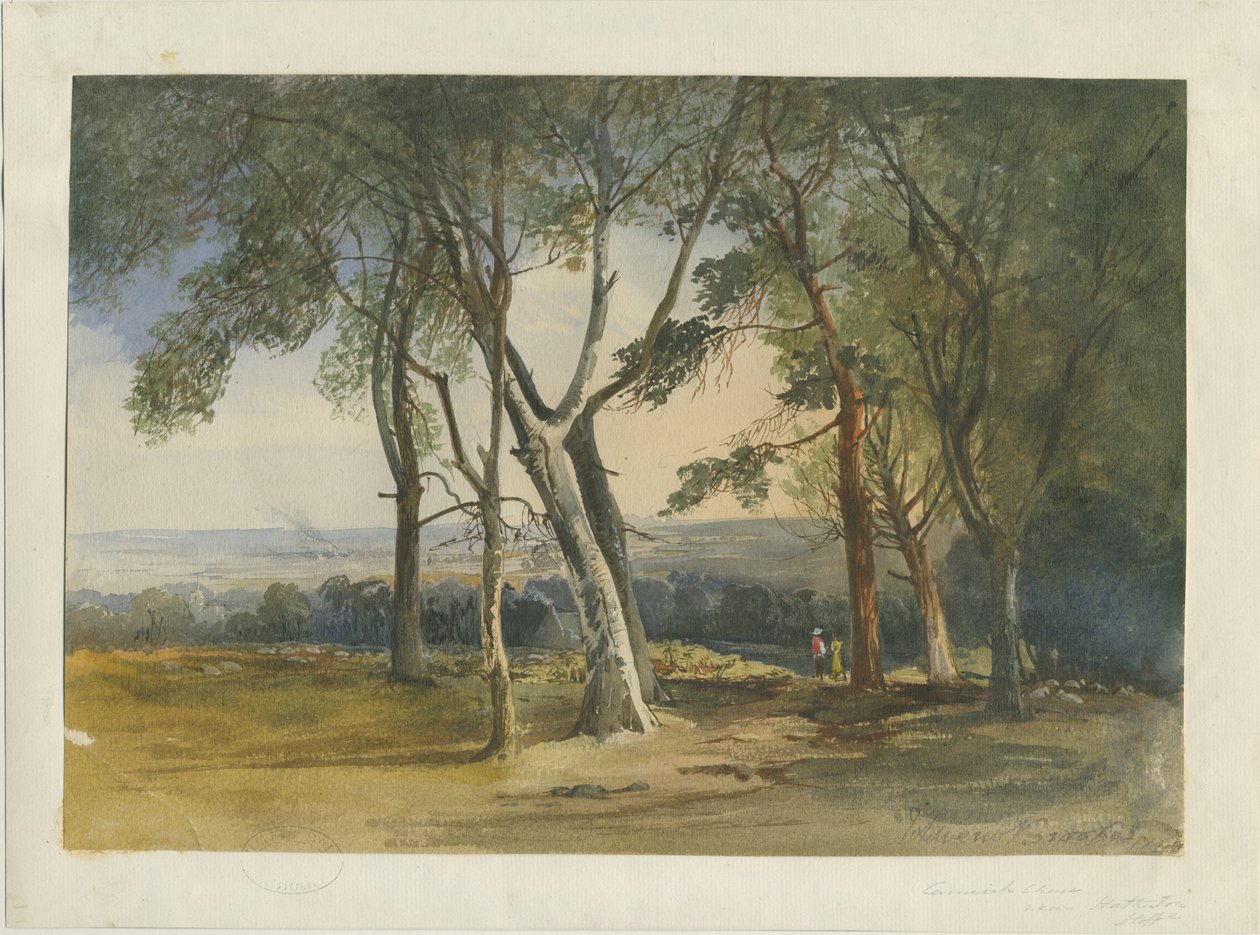 Cannock Chase: vattenfärgsmålning, 1848 av Unbekannt