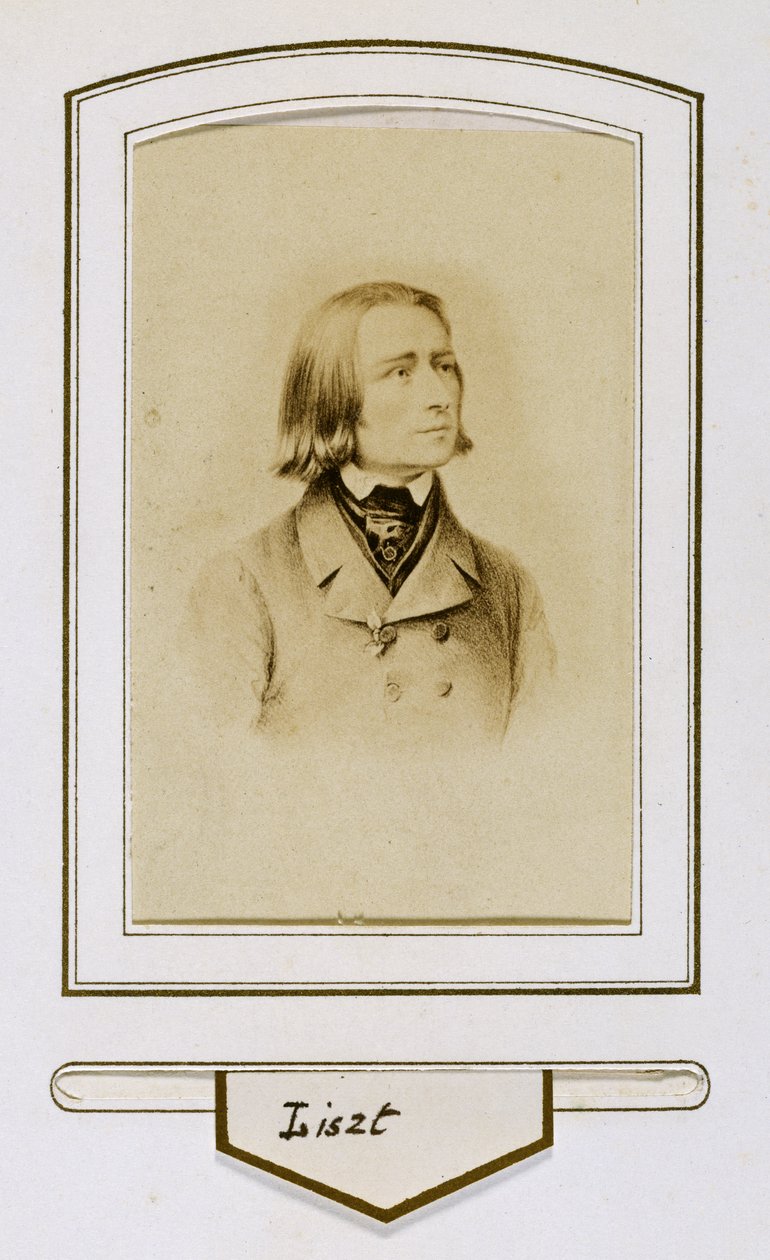 Franz Liszt när han var ung av Unbekannter Künstler