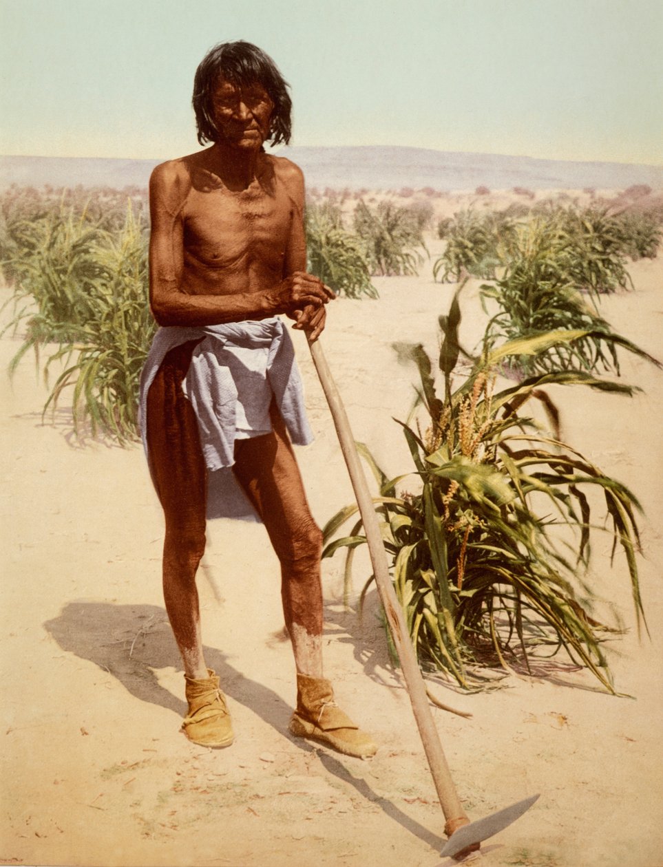 Hopi Man med en hack, Arizona av Nicolas Liez