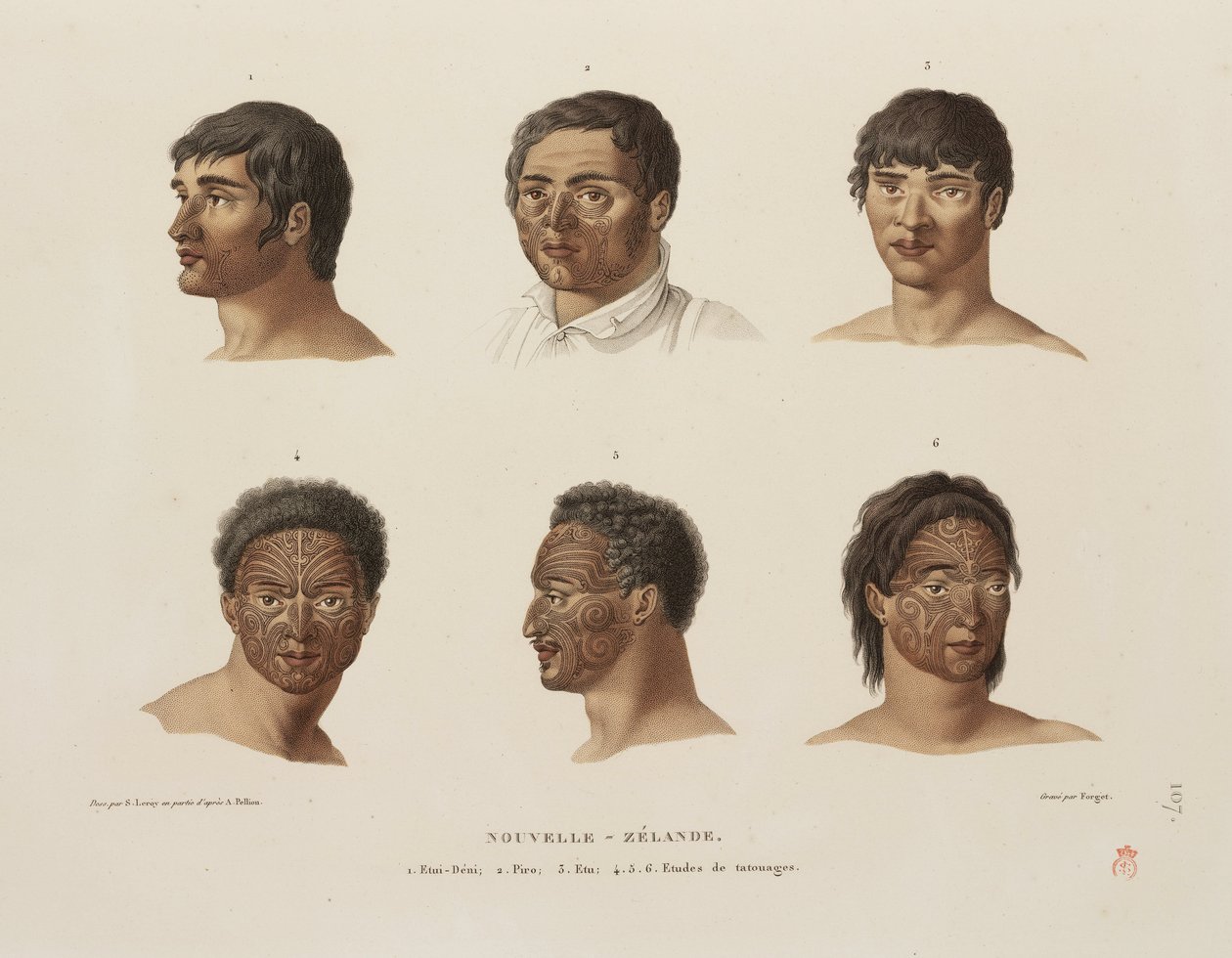 Maori-tatueringar av Unbekannt