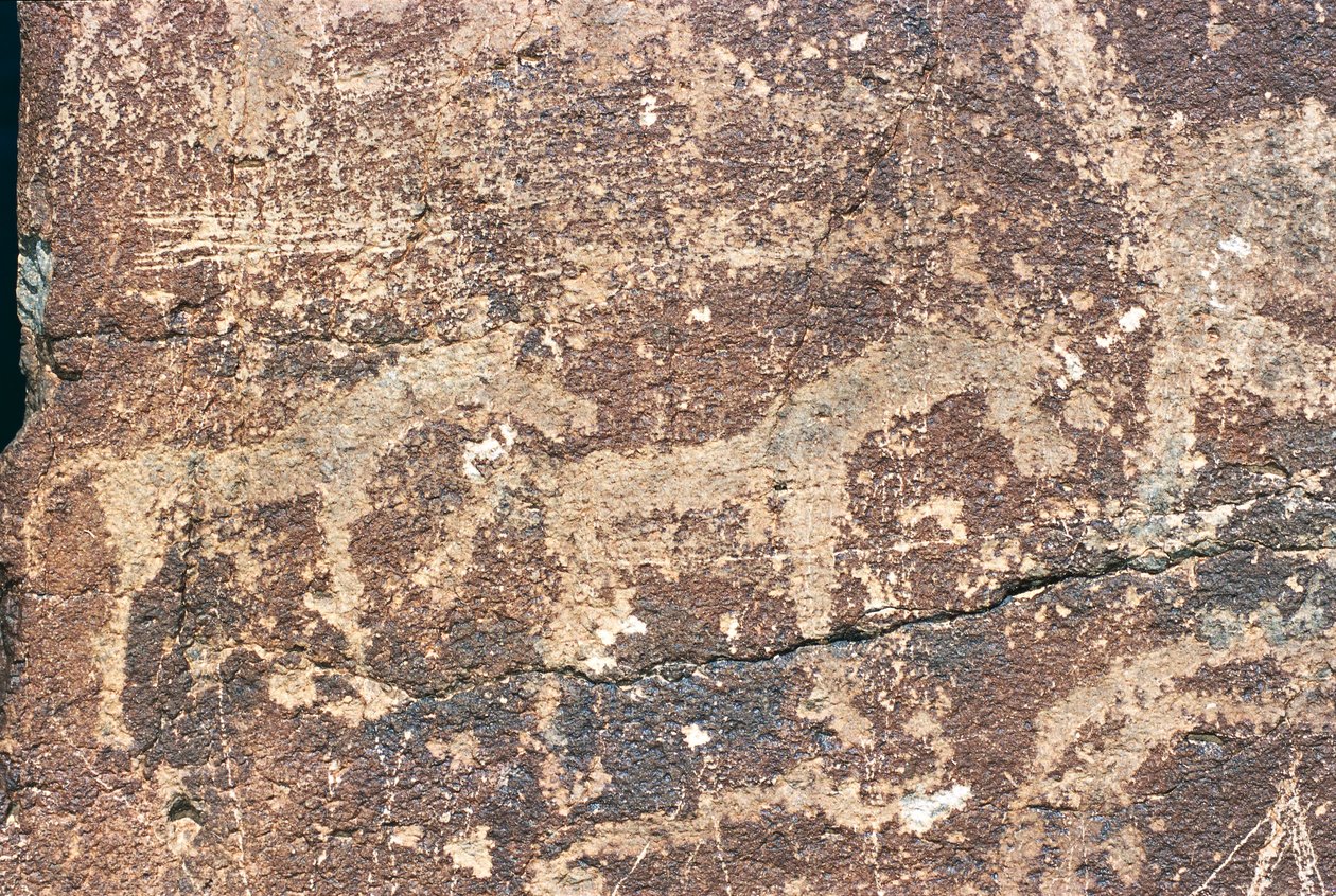 Mongoliet, Gobiöknen, stenstick av Benjamin Baud