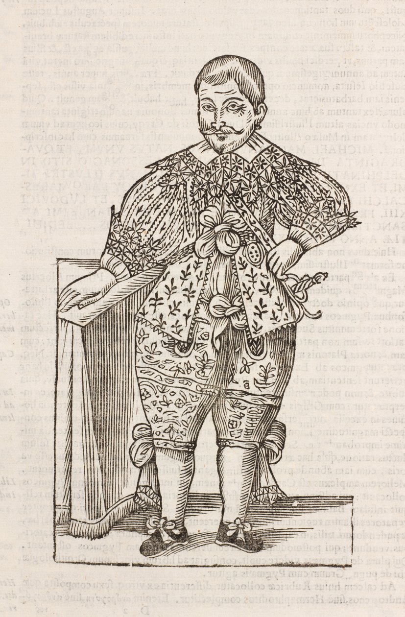 The Illustrious Nanus D av Unbekannt