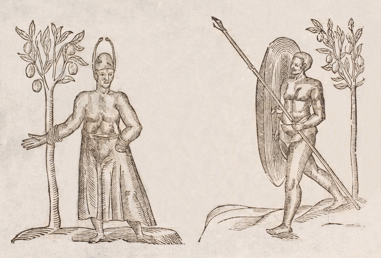 Rex Sinus Antongil & Miles Sinus Antongil av Unbekannt