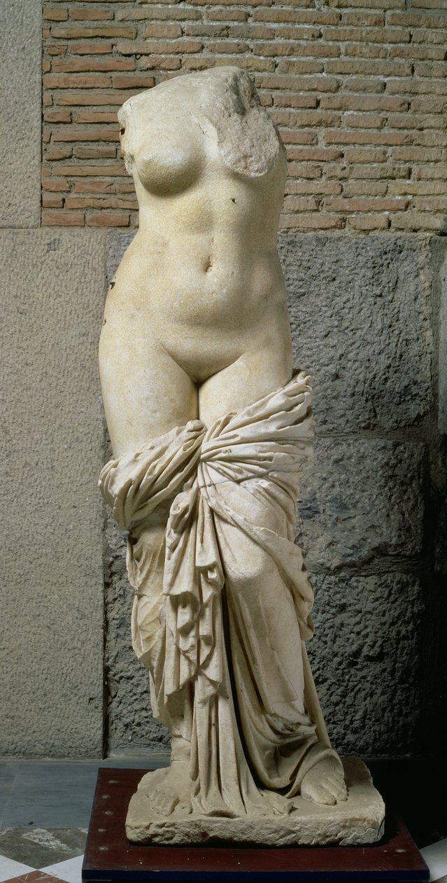 The Sinuessa Aphrodite (marmor) av Unbekannt