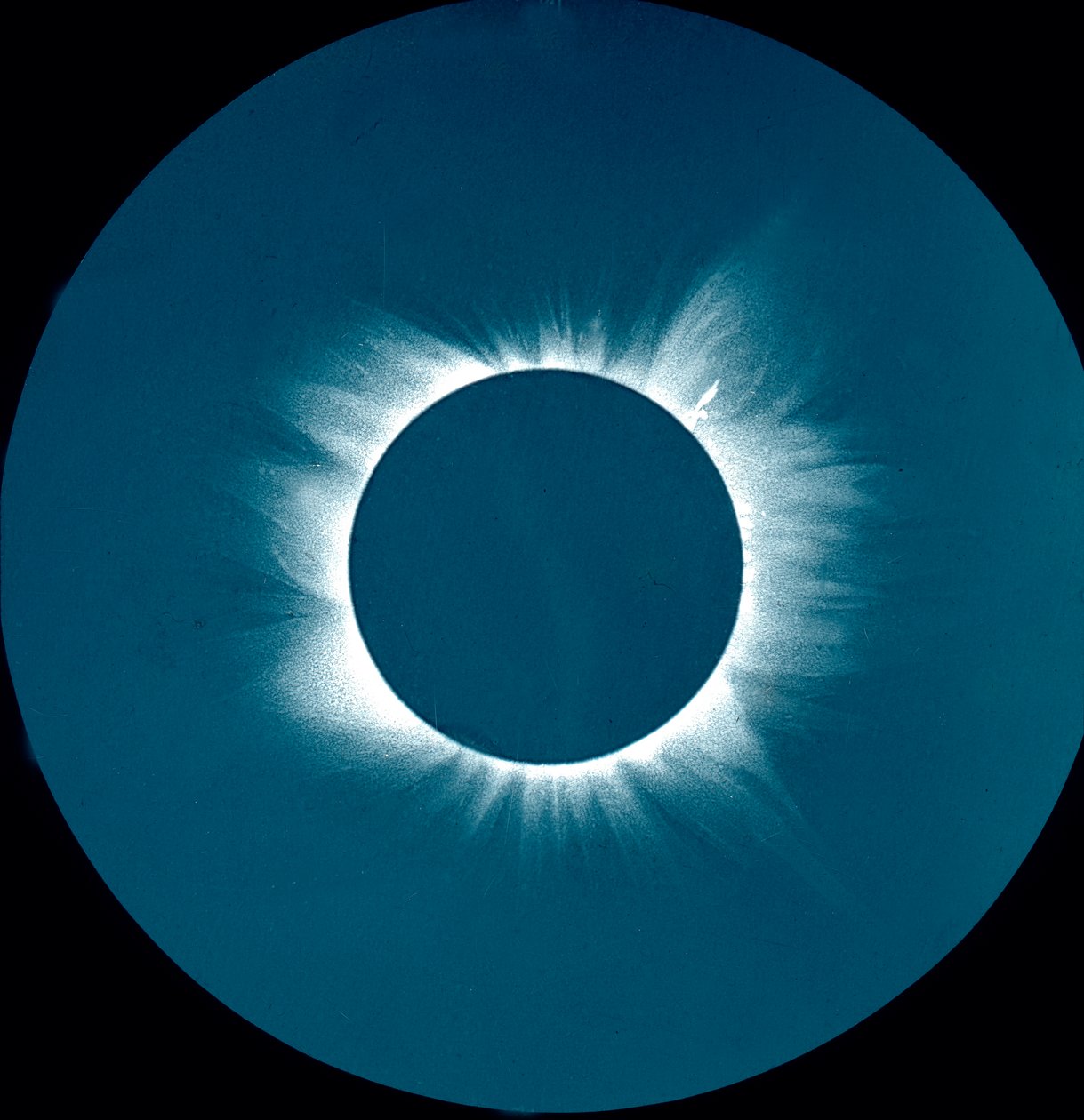 Solens corona av Unbekannter Künstler