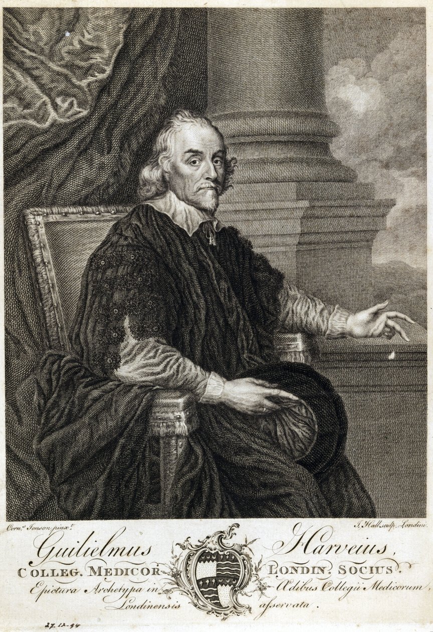 William Harvey, engelsk läkare av Unbekannt