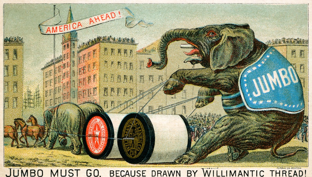 Willimantic Thread - annons från sent 1800-tal av Unbekannter Künstler