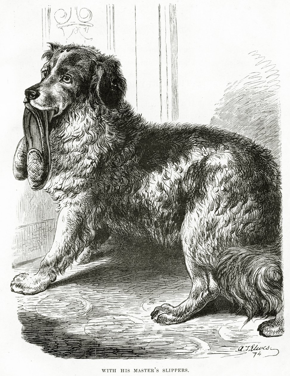 Med sin herres tofflor 1902 (litho) av Unbekannt