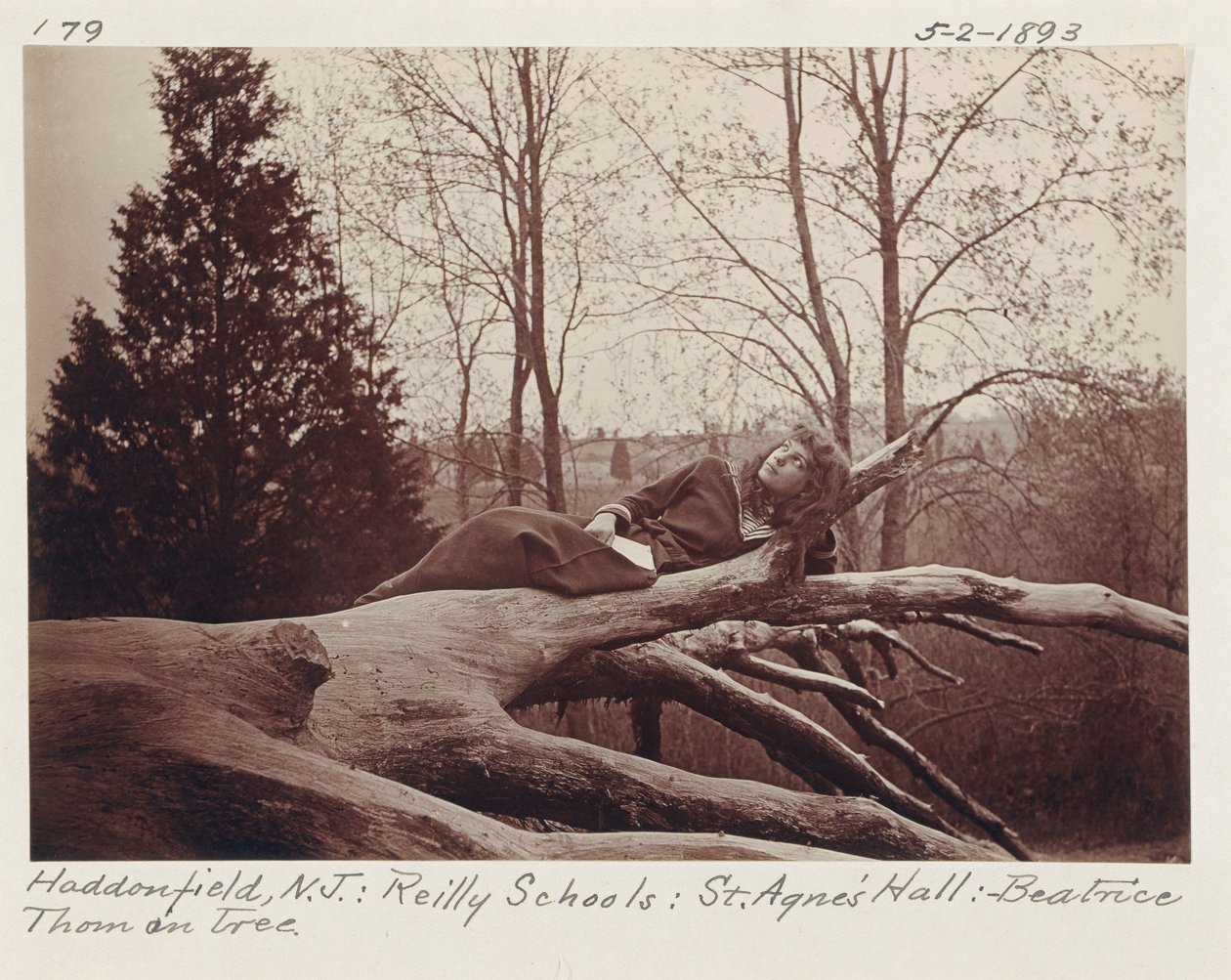 [Beatrice Thom på träd, Haddonfield, New Jersey] av Unidentified