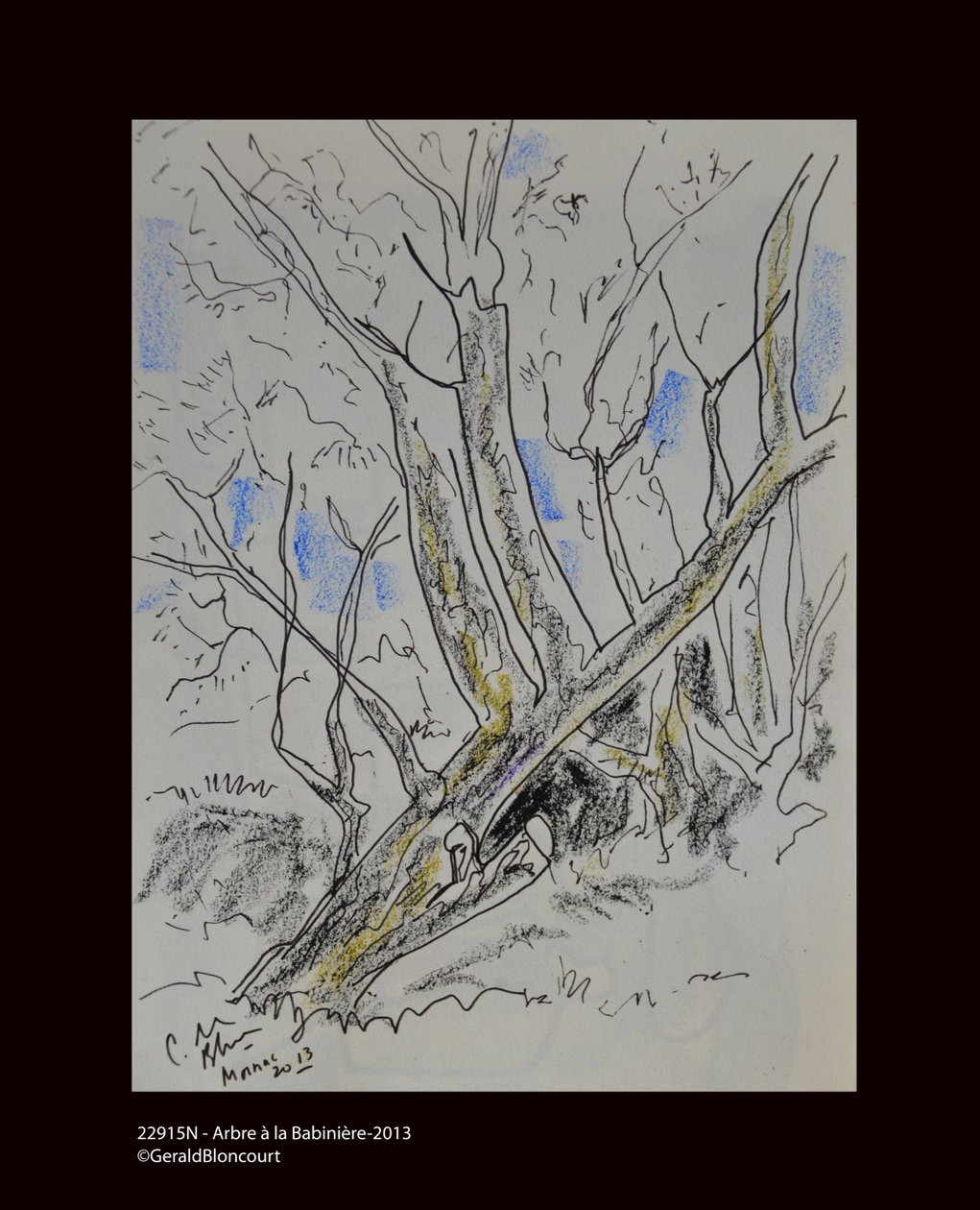 22915N - Tree a Babiniere-2013 av Unknown
