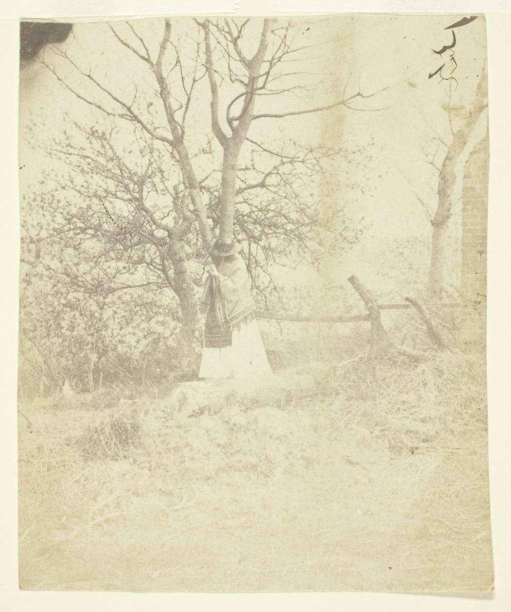 Mrs Craik av Unknown