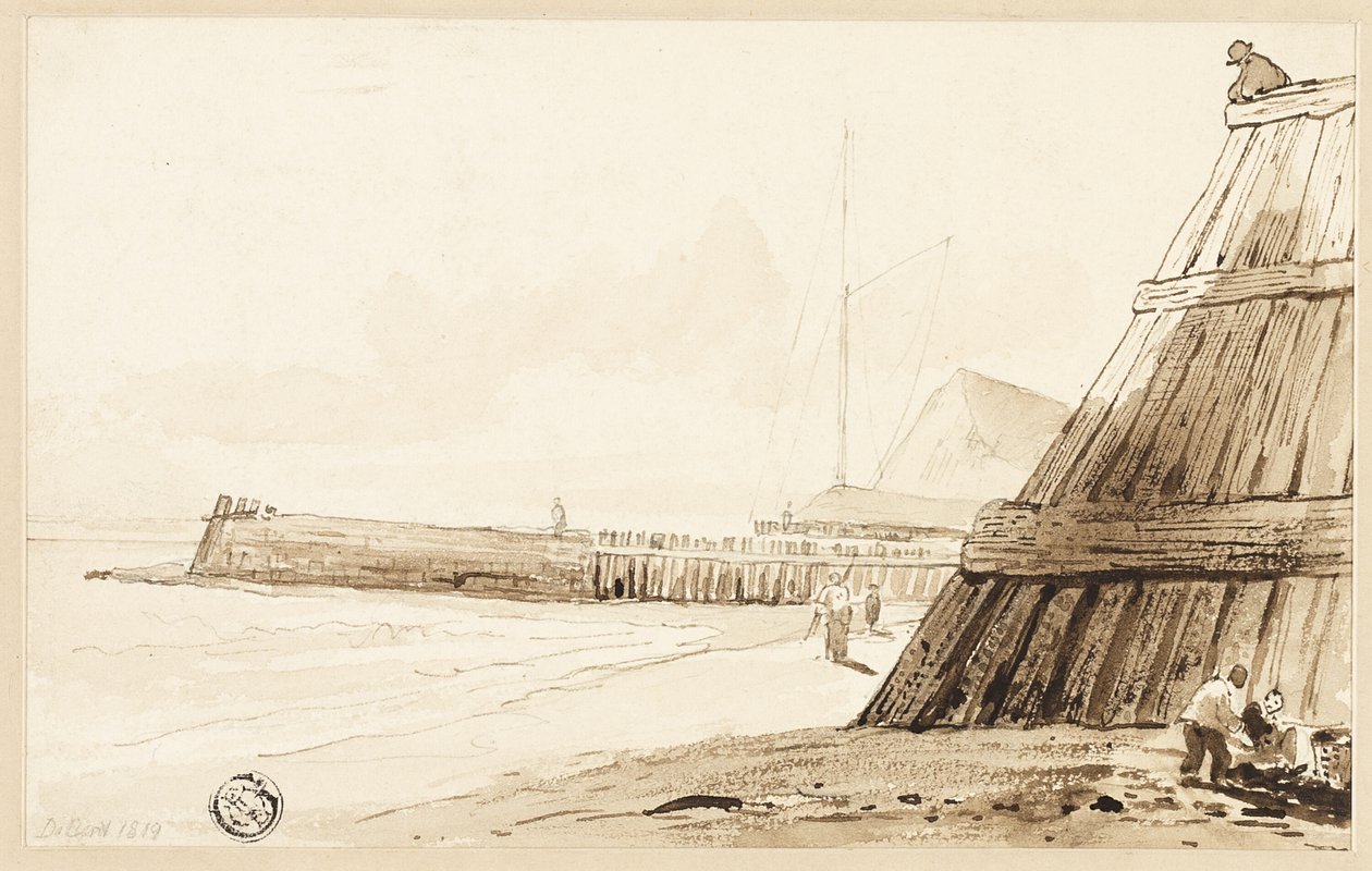 Stockade längs stranden av Unknown