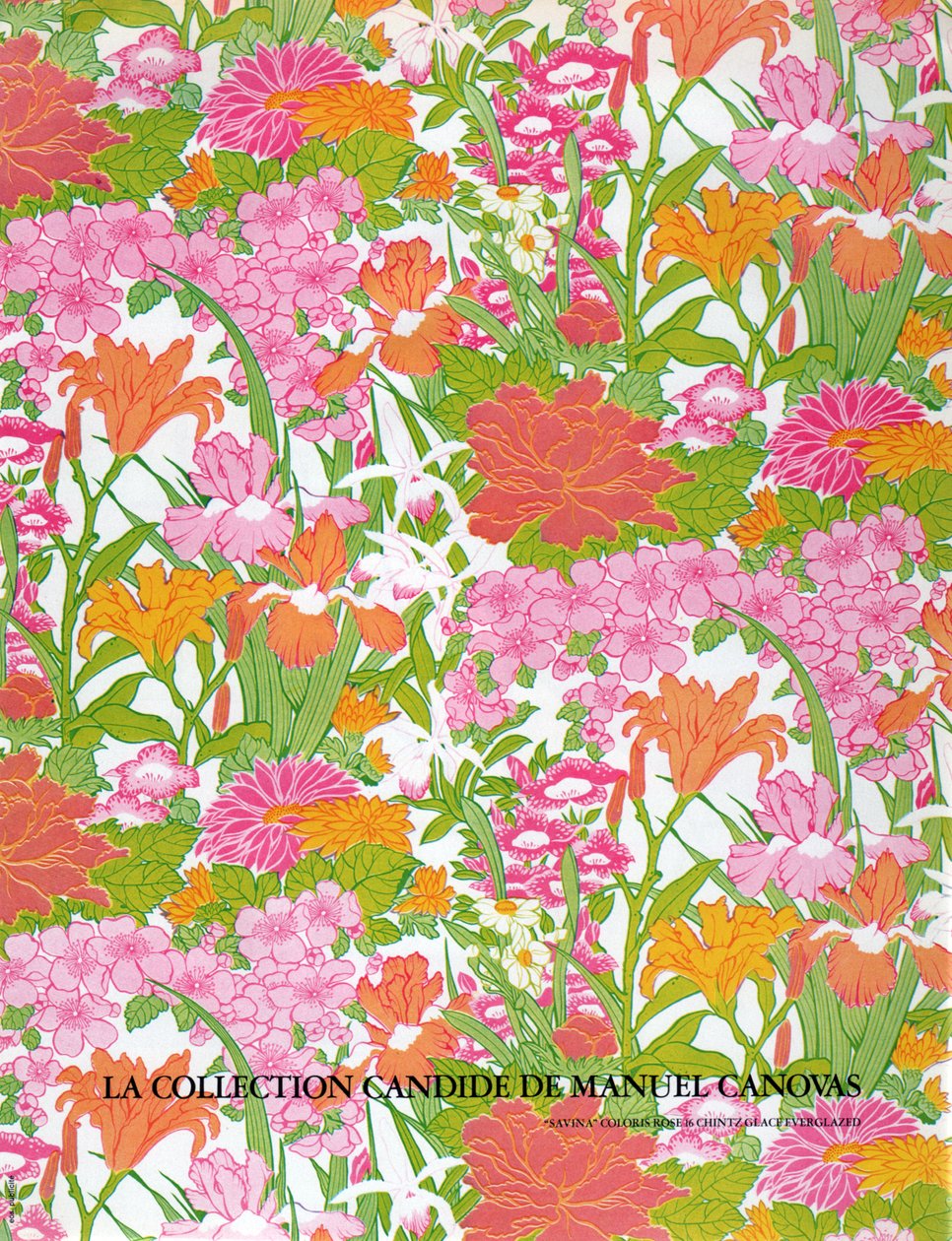 Manuel Canovas tyger. Manuel Canovas tyger. av Unknown