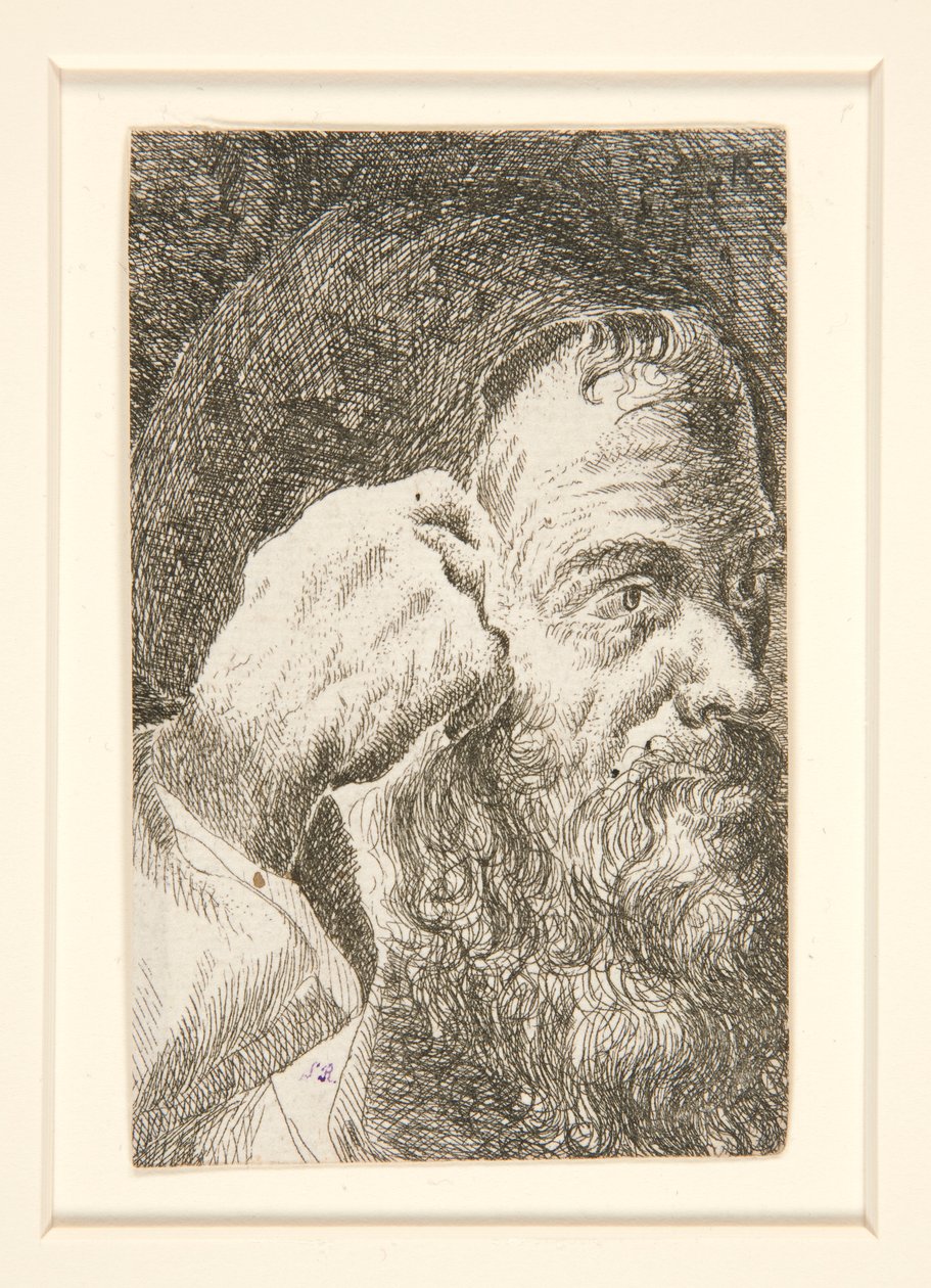 Untitled (Head of a Bearded Man) av Unknown