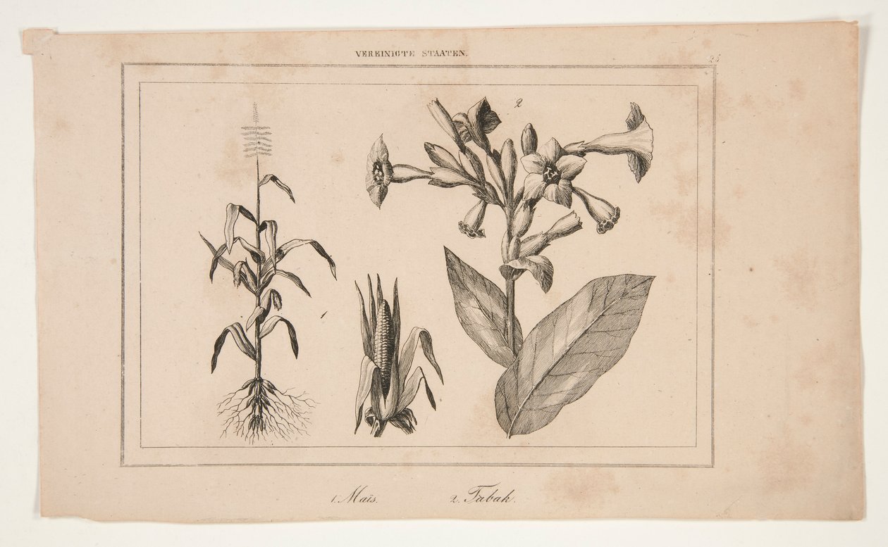 Untitled (Study of American Agriculture) av Unknown