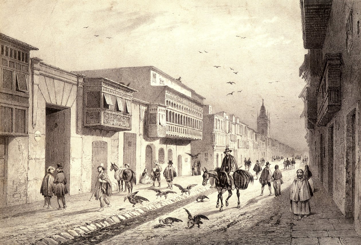 En gata i Valladolid i Lima, Peru. av Unknown artist