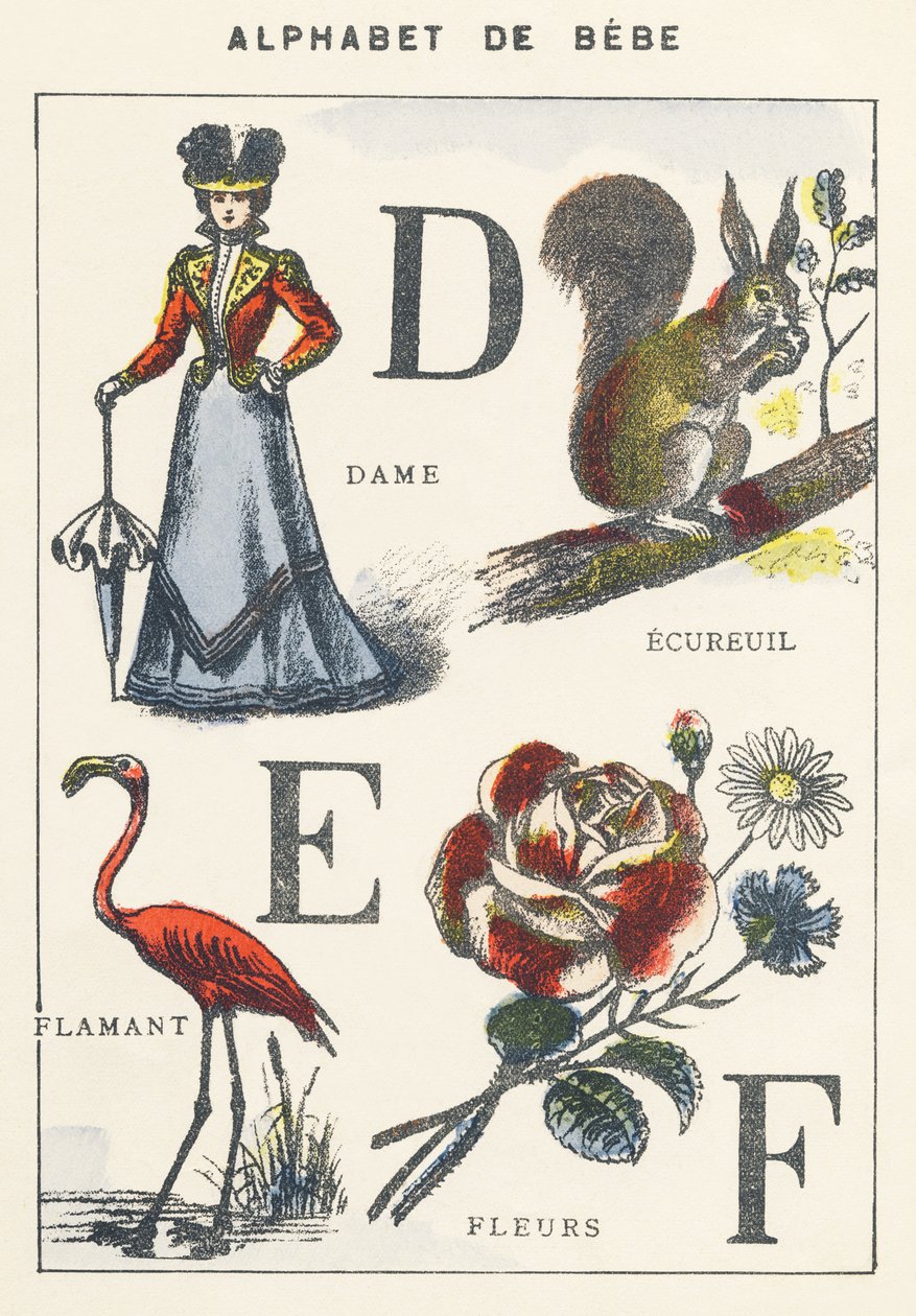 D E F: dam, ekorre, flamingo, blommor av Unknown artist