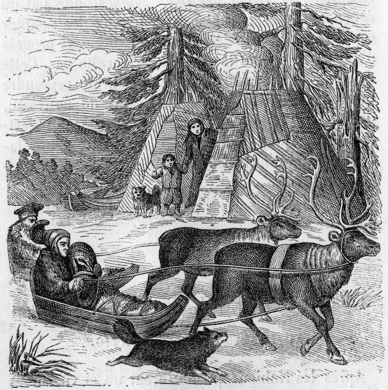 Lapons och deras släde. av Unknown artist