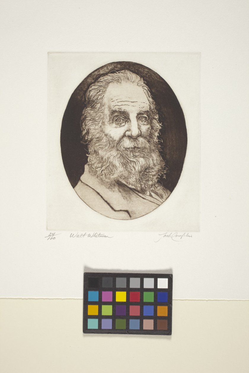 Porträtt av Walt Whitman (bläck, tryck) av Unknown artist