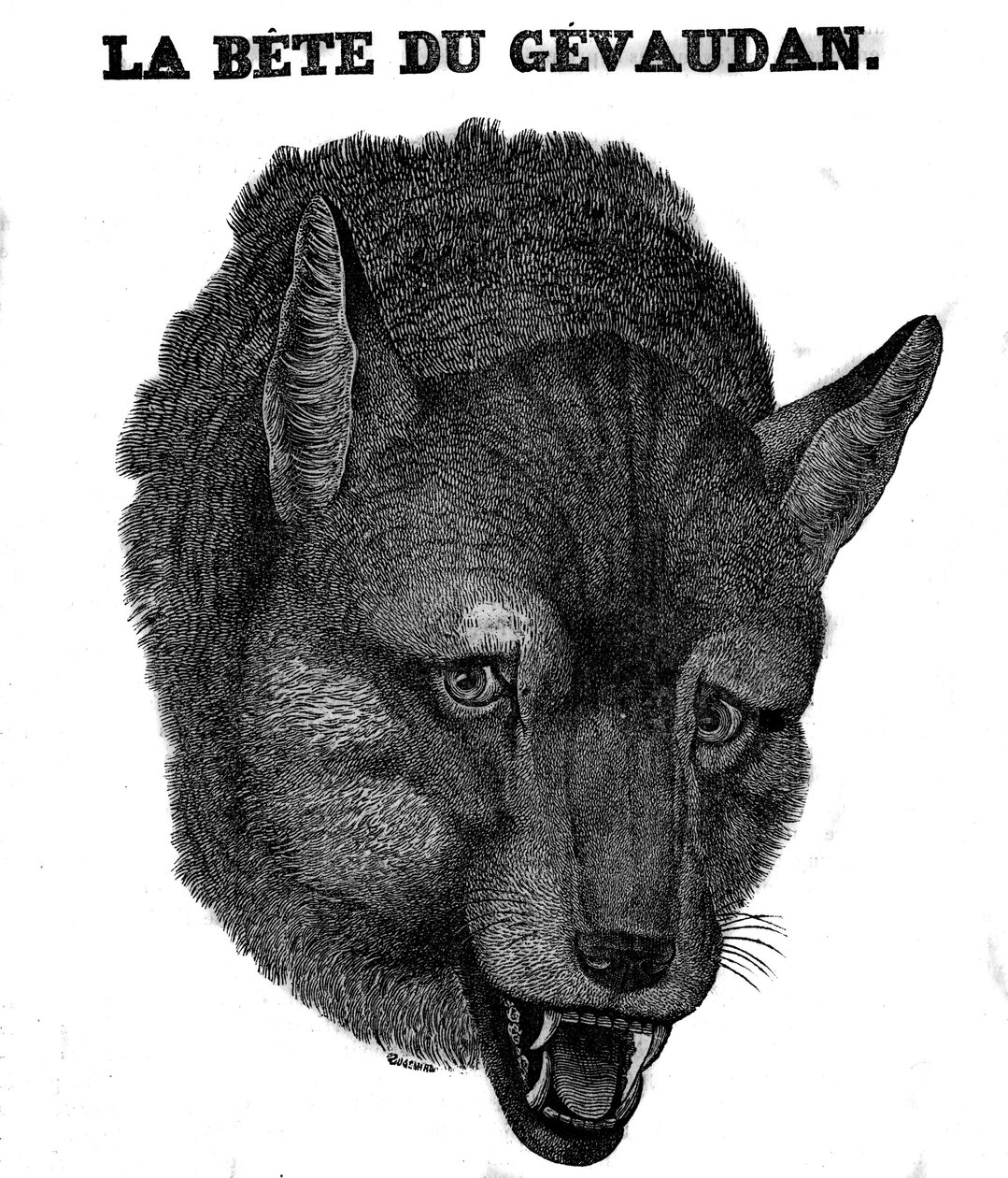 Representation av Bete du Gevaudan. av Unknown artist