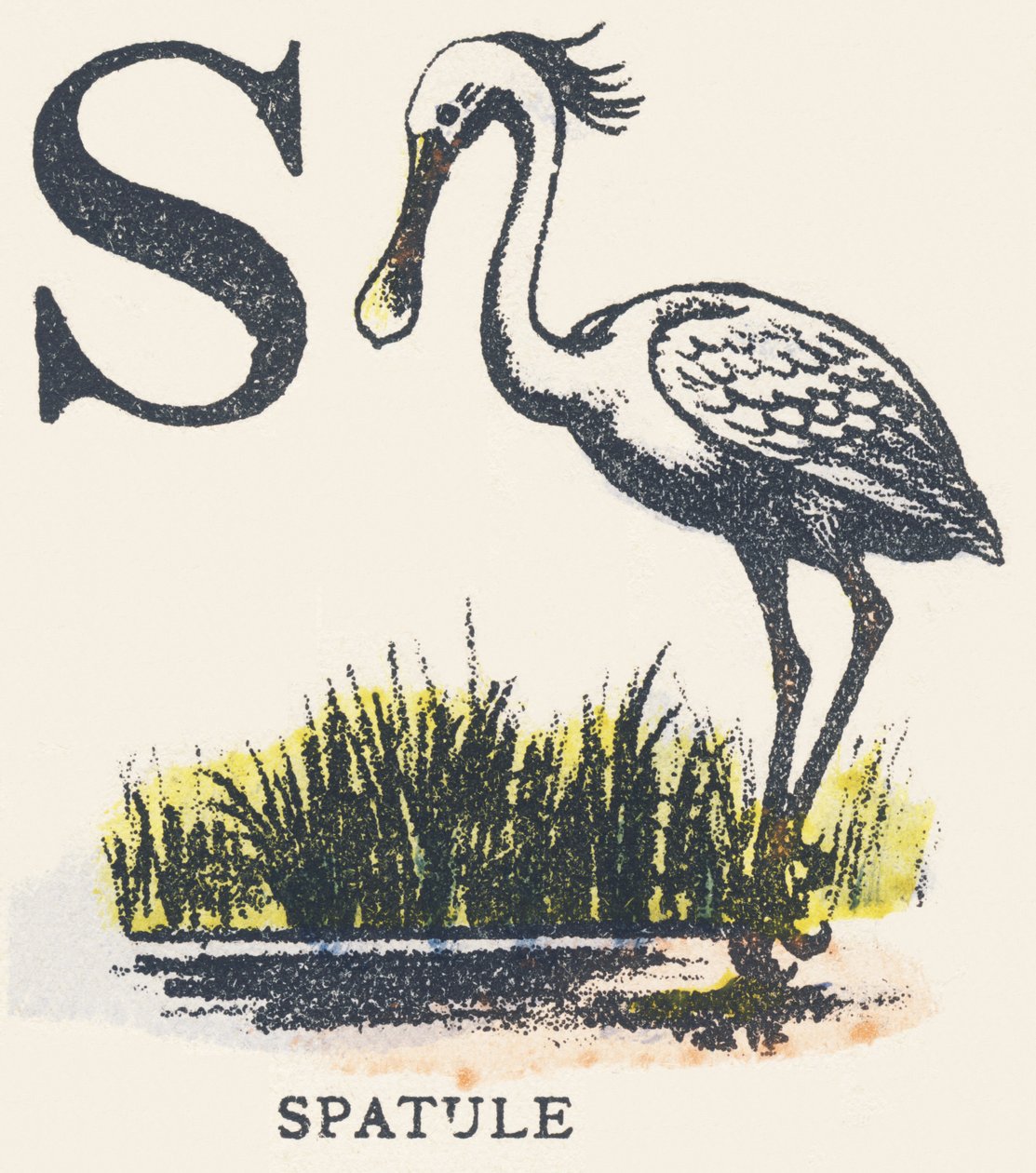 S: spatel av Unknown artist