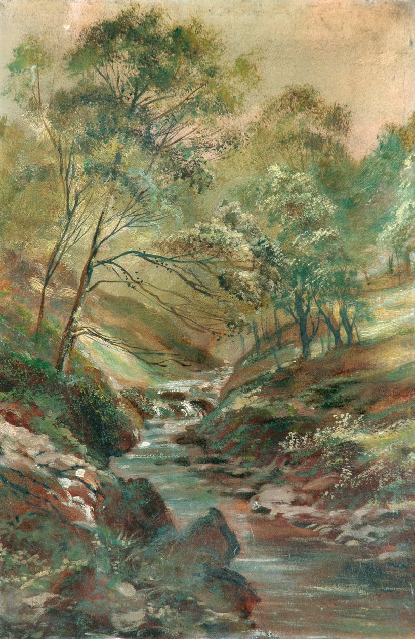 Strömma genom en skogen av Unknown