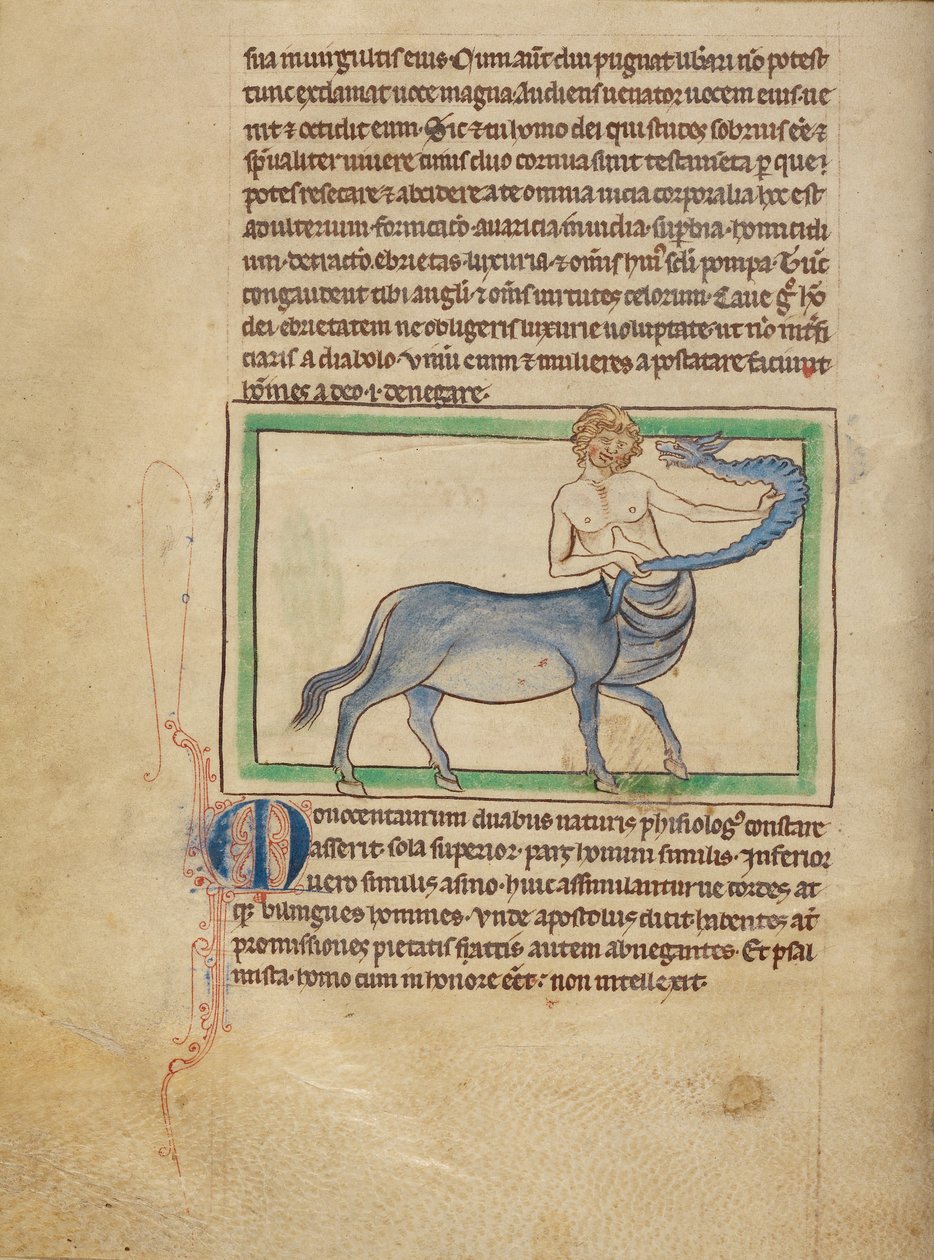 A Monocentaurus av Unknown artist