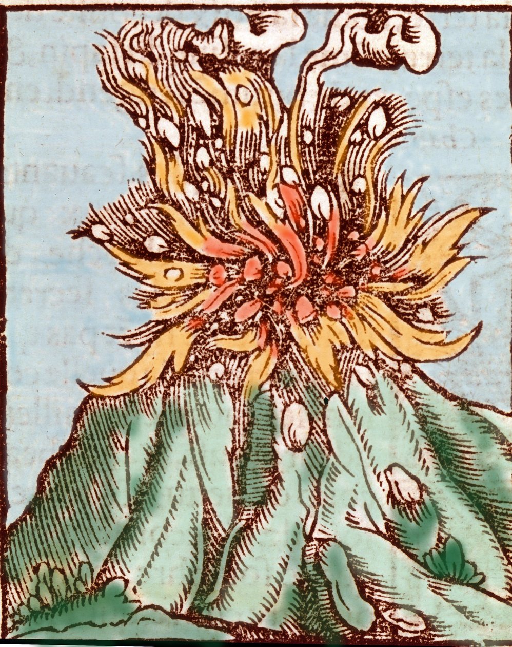 Utbrott av en vulkan. 1500-talsgravyr. av Unknown artist