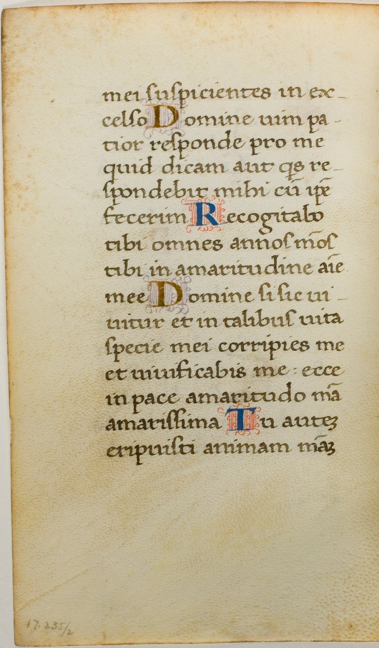Illuminerat manuskript Blad av Unknown artist