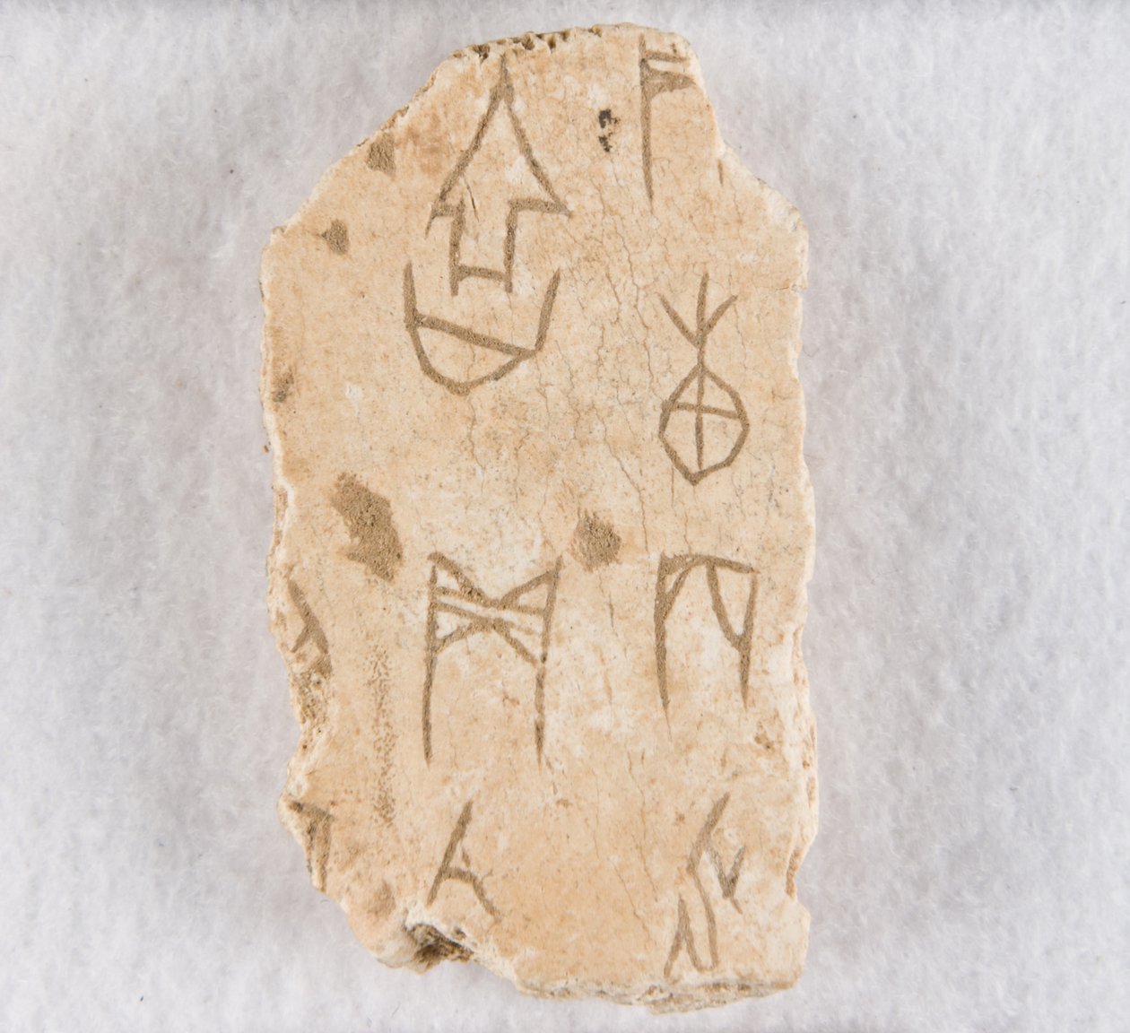 Inskrivet benfragment ("orakelben") av Unknown artist