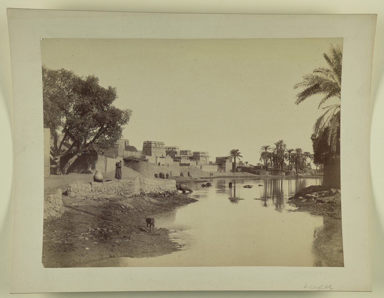 [Luxor] av Unknown artist