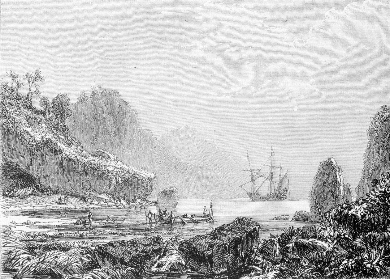 Representation av Turtle Island. Gravyr 1800-talet. av Unknown artist