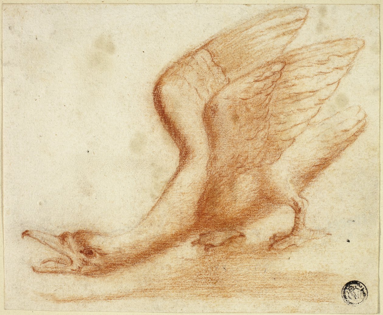 Svan av Unknown artist