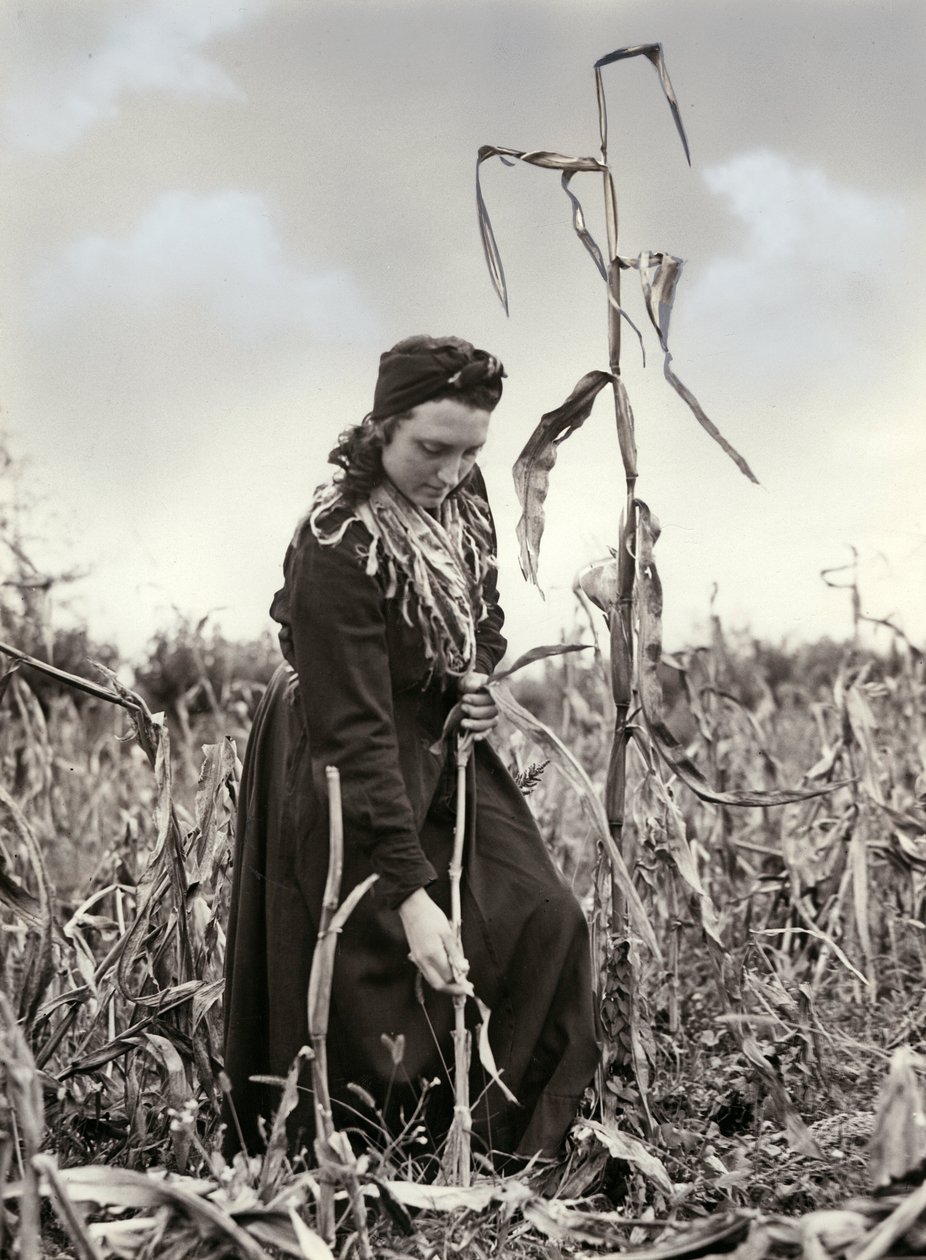 Friulian extruderad av Unknown photographer