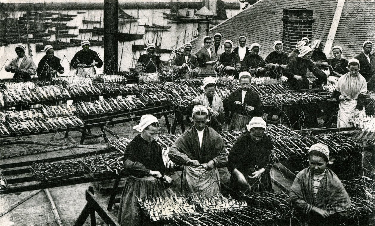 Sardinindustri, Finistère, Storbritannien (svartvitt foto) av Unknown photographer