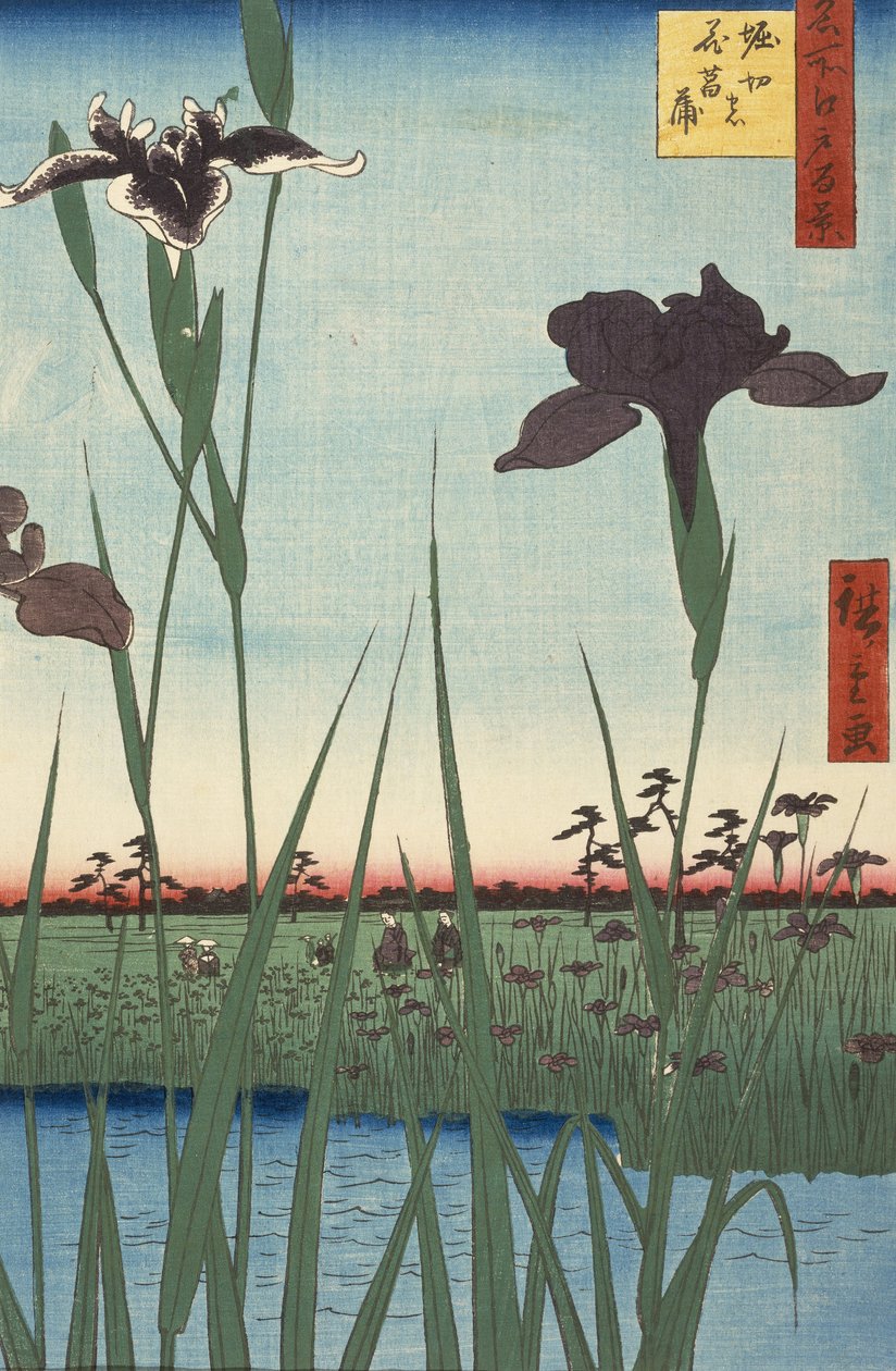 Horikiri Iris Garden (Horikiri no hanashbu), from the series One Hundred Famous Views of Edo (Meish... av Utagawa Hiroshige