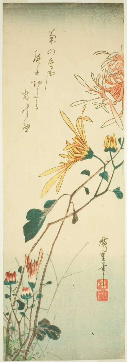 Krysantemum av Utagawa Hiroshige
