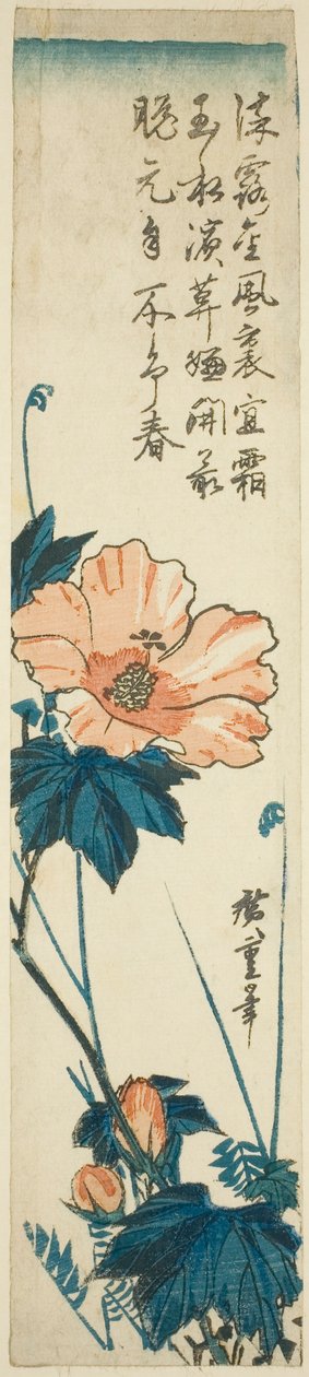 Hibiskus av Utagawa Hiroshige