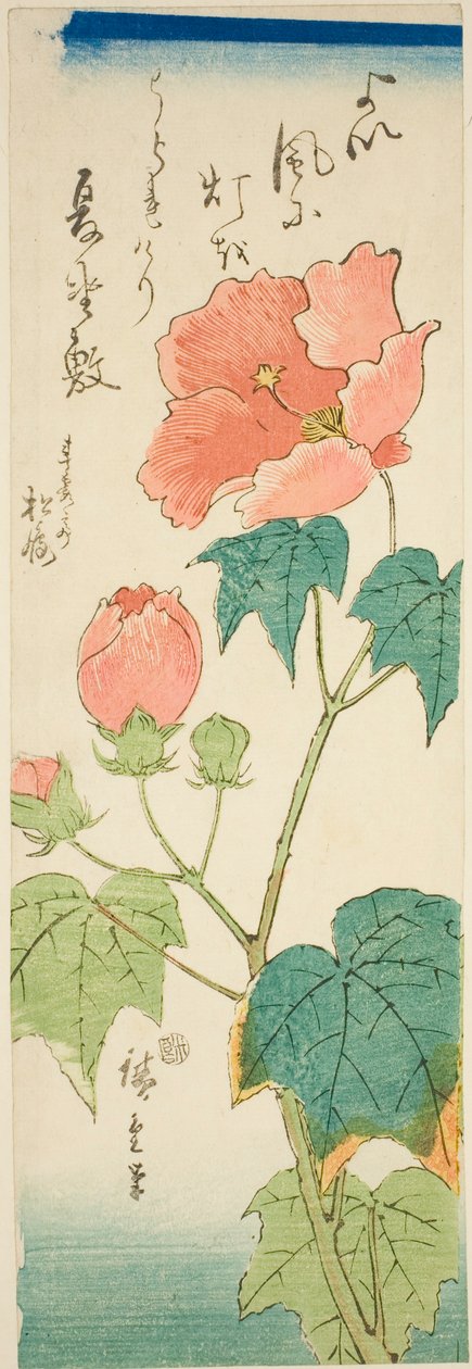 Hibiskus av Utagawa Hiroshige