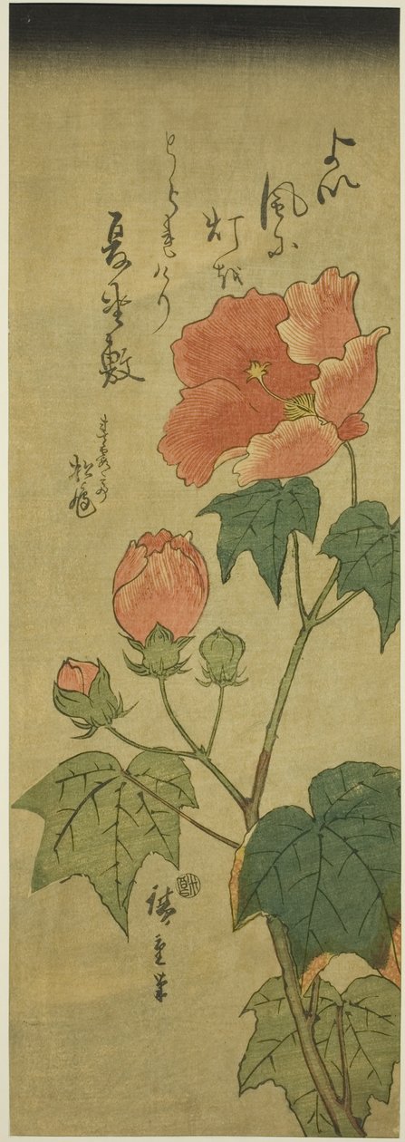Hibiskus av Utagawa Hiroshige